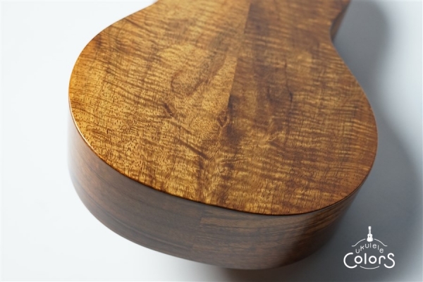 ECO-C+ - Koa